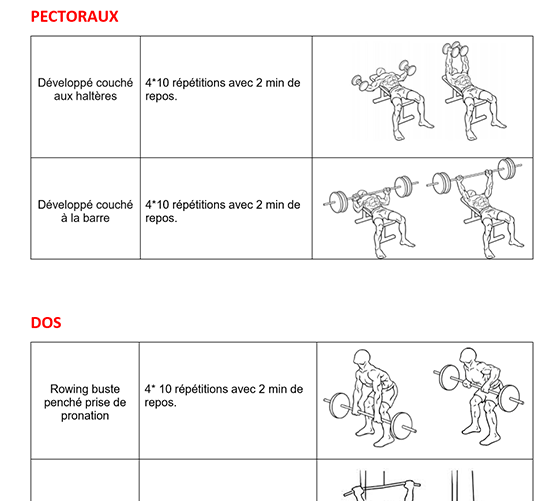 programme entrainement