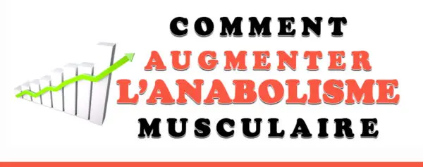 augmenter anabolisme musculaire