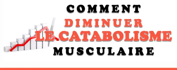 diminuer catabolisme musculaire