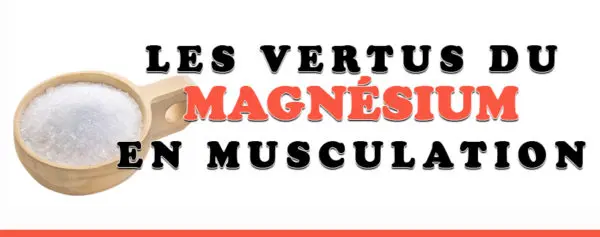magnésium musculation
