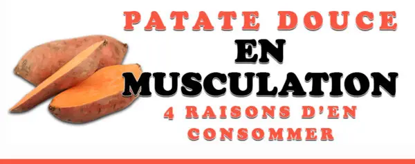 patate douce en musculation
